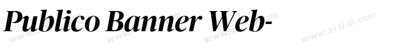Publico Banner Web字体转换